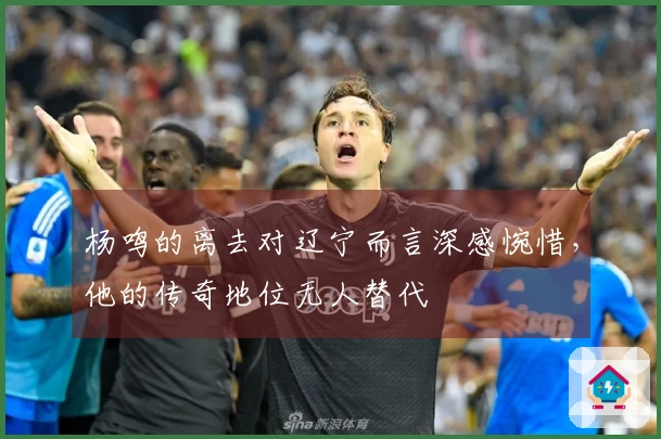杨鸣的离去对辽宁而言深感惋惜，他的传奇地位无人替代