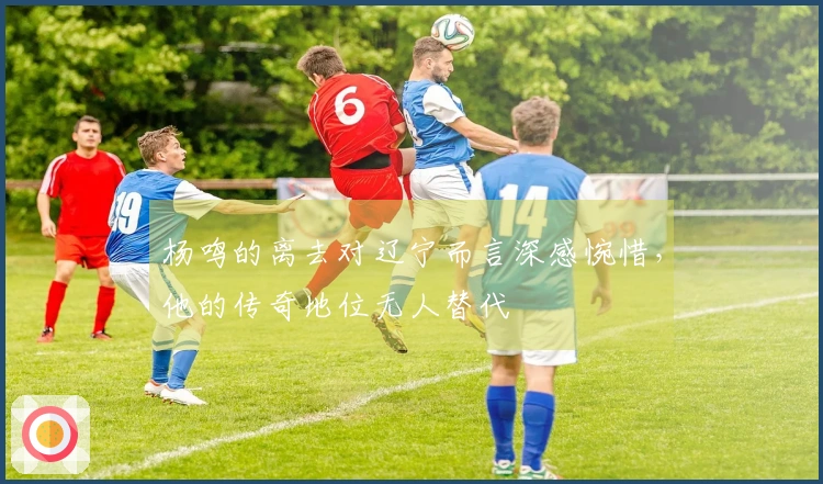 杨鸣的离去对辽宁而言深感惋惜，他的传奇地位无人替代
