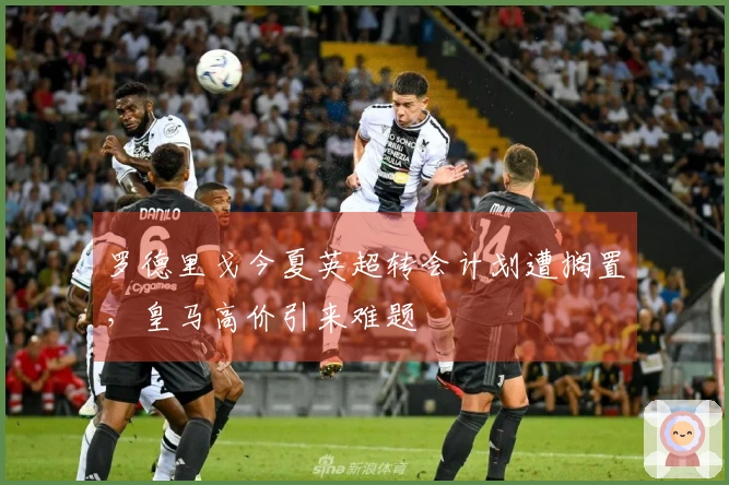 罗德里戈今夏英超转会计划遭搁置，皇马高价引来难题